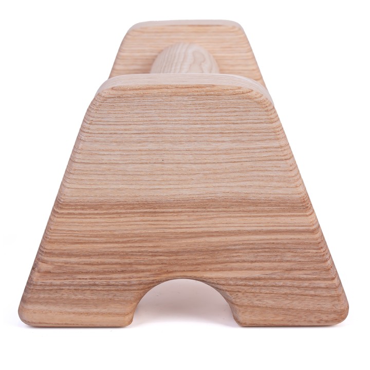 Ash Training Parallettes