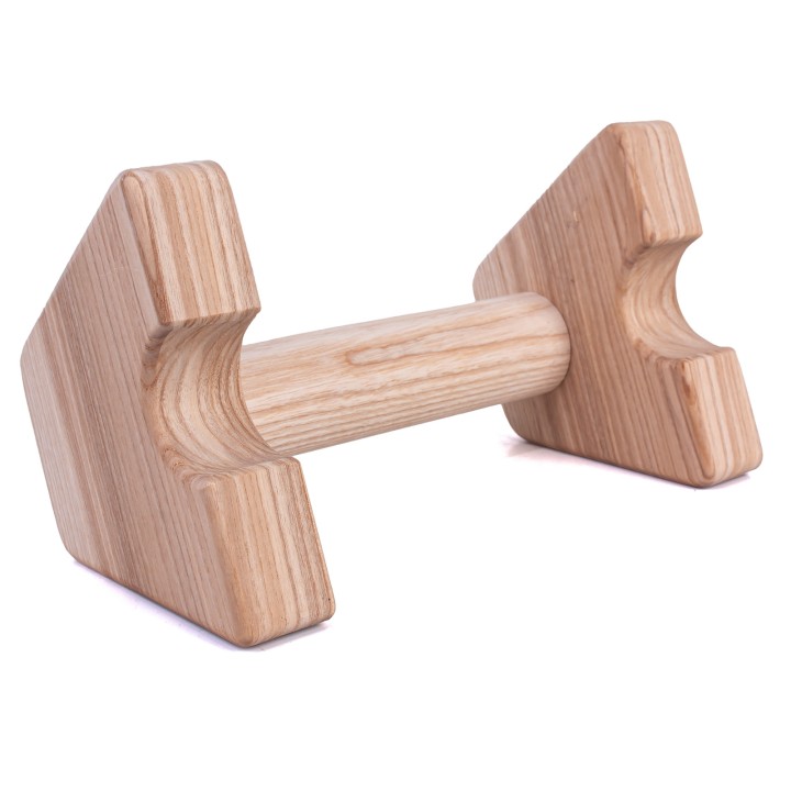 Ash Training Parallettes