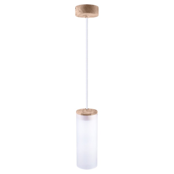Hanging lamp BARREL-1