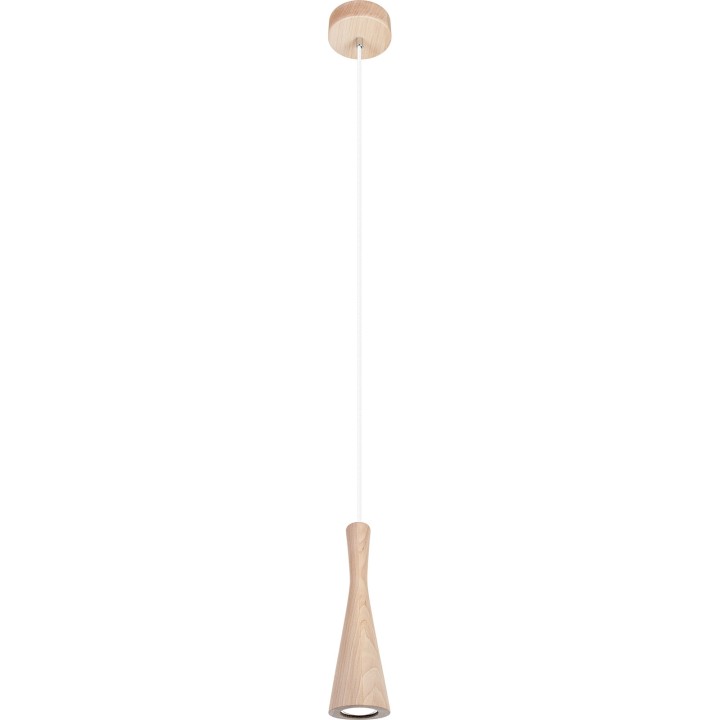 Hanging lamp of the Vegas alder