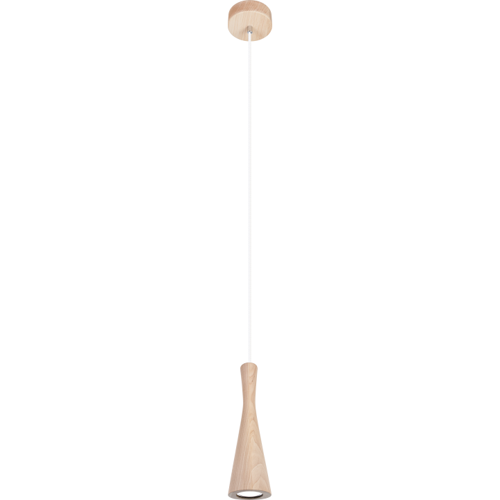 Hanging lamp of the Vegas alder